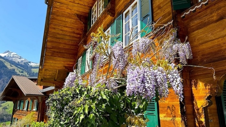 Yoga Seminarhaus Bergengel im Scharnachtal, Berner Oberland, Schweiz