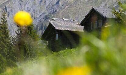 Berglandschaft mit Blumenwiese im Vordergrund, Holzhäuser im Prättigau, Graubünden, Schweiz