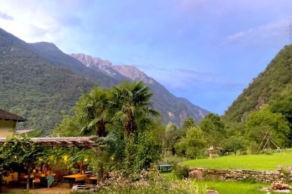 Gartenlaube, Palmen und Wiese mit Berge im Hintergrund