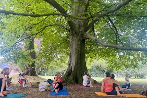 Yogaübende unter einem grossen Baum im Park