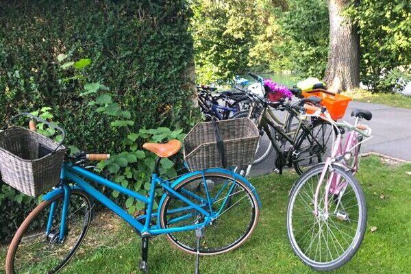 Verschiedenen Farrähder, ein blaues im Vordergrund, im Hintergrund Bäume und Wiese