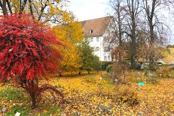 Herbstlich gefärbte Bäume im Park Mariastein, zwischen den Bäumen das Klosterhotel Kreuz erkennbar