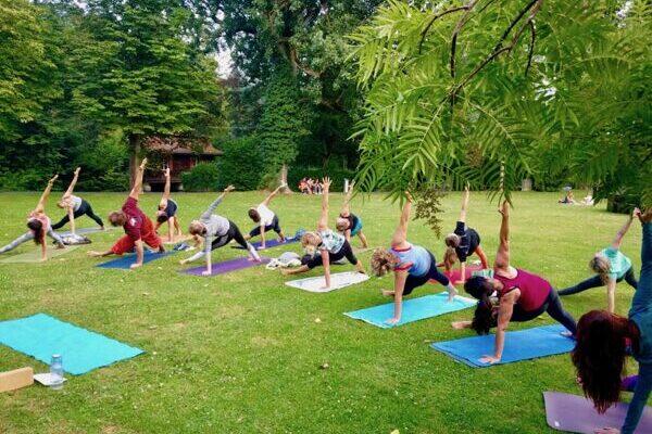 Yogaübende im Park in einer stützenden Yogaposition 
