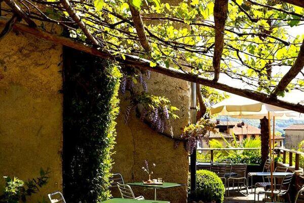 Terrasse mit grünen Stühlen und Tischen und Pergola mit wildem Wein