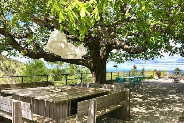 Yoga-Seminarhotel Wasserfallen, grosser Tisch unter Baum