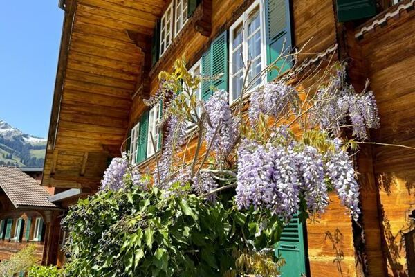 Yoga Seminarhaus Bergengel im Berner Oberland mit Kletterpflanzen an der Aussenfassade