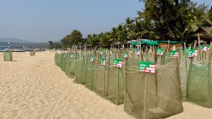 Geschütze Meeresschildkröten Nester mit Netzen