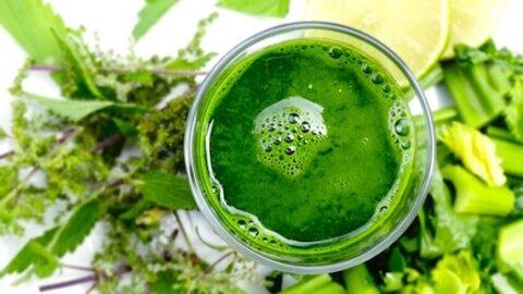 Glas Grüner Smoothie mit Staudensellerie, Zitronenscheiben und Brennessel daneben